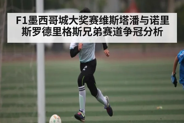 F1墨西哥城大奖赛维斯塔潘与诺里斯罗德里格斯兄弟赛道争冠分析